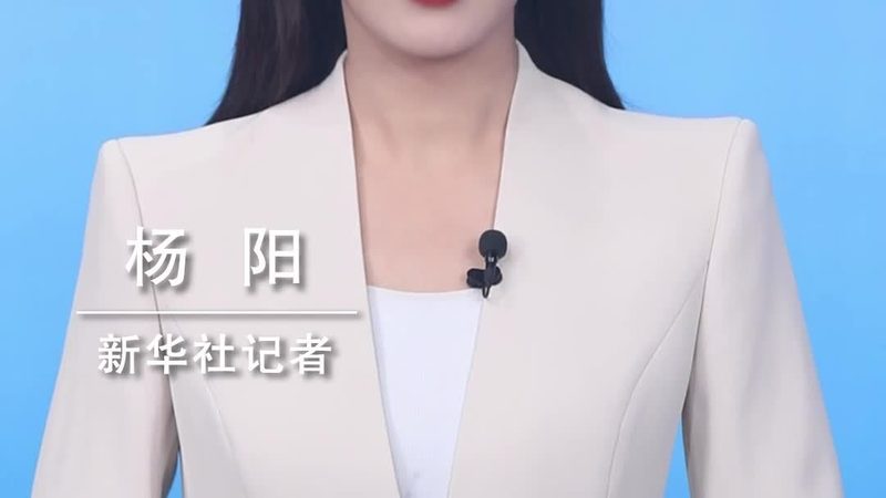 软件定制开发：助力行业突破性能瓶颈，提升核心竞争力